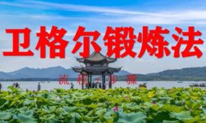 图片[1]-viger锻炼法，卫格尔viger锻炼方法视频，男性增大增粗练习术-田宇情感缘