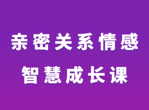 心理师大力《亲密关系情感智慧成长课》-田宇情感缘