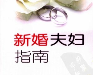 《新婚夫妇指南》PDF-田宇情感缘