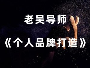 老吴《个人品牌打造2.0》-田宇情感缘