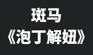 斑马《泡丁解妞》把妹鸿篇巨制 PDF电子书-田宇情感缘