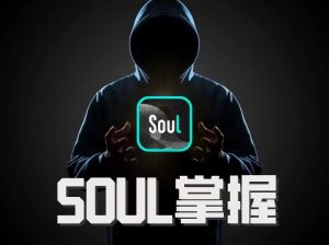 社交光谱社长《SOUL掌握》-田宇情感缘