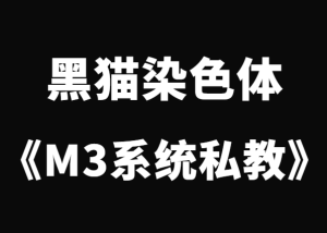 黑猫染色体《终身制M3系统私教内部课程》-田宇情感缘