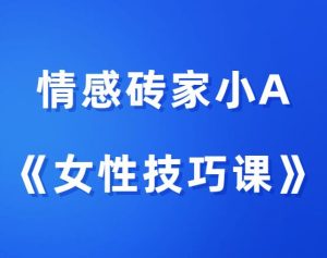 情感砖家小A《女性技巧课》-田宇情感缘