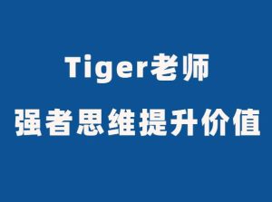 Tiger老师《强者思维提升价值课》-田宇情感缘