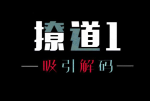 舞步情感《撩道1-5本》PDF绝版男生恋爱书籍-田宇情感缘