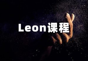 LEON《Leon内部课程5.0》-田宇情感缘