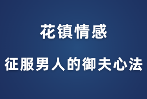 花镇情感牛排《征服男人的御夫心法》-田宇情感缘