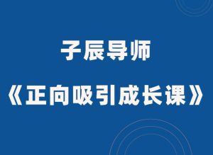 子辰导师《正向吸引高阶成长课》-田宇情感缘