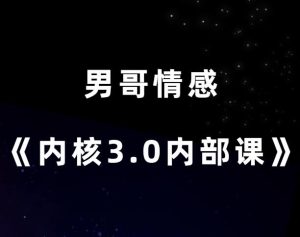 男哥情感《内核3.0初级班内部课》-田宇情感缘